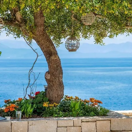 Sea View Apartment